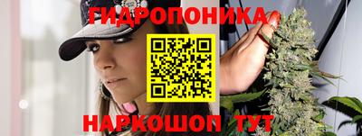 MESCALINE Камышлов