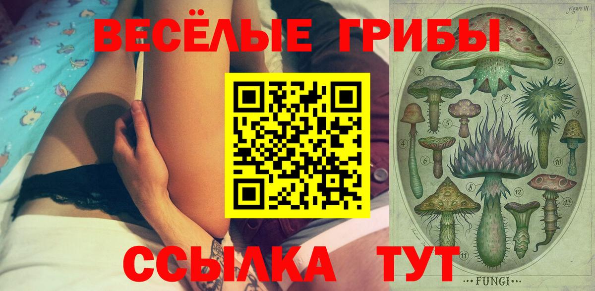 Лениногорск  Псилоцибиновые грибы GOLDEN TEACHER  Вход с VPN 