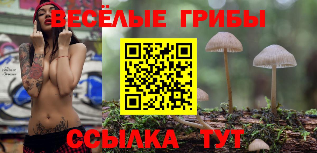 Псилоцибиновые грибы прущие грибы Лениногорск